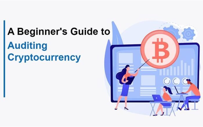 auditing cryptocurrency